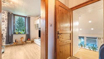 TV, fireplace, DVD player