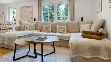 TV, fireplace, video games, DVD player