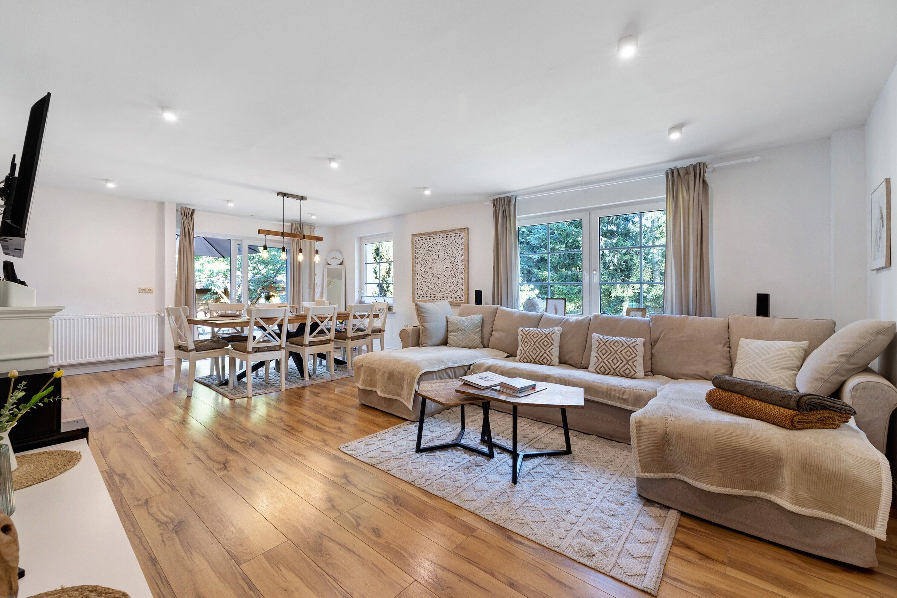 Televisión, chimenea, videojuegos y reproductor de DVD 