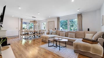 TV, fireplace, video games, DVD player