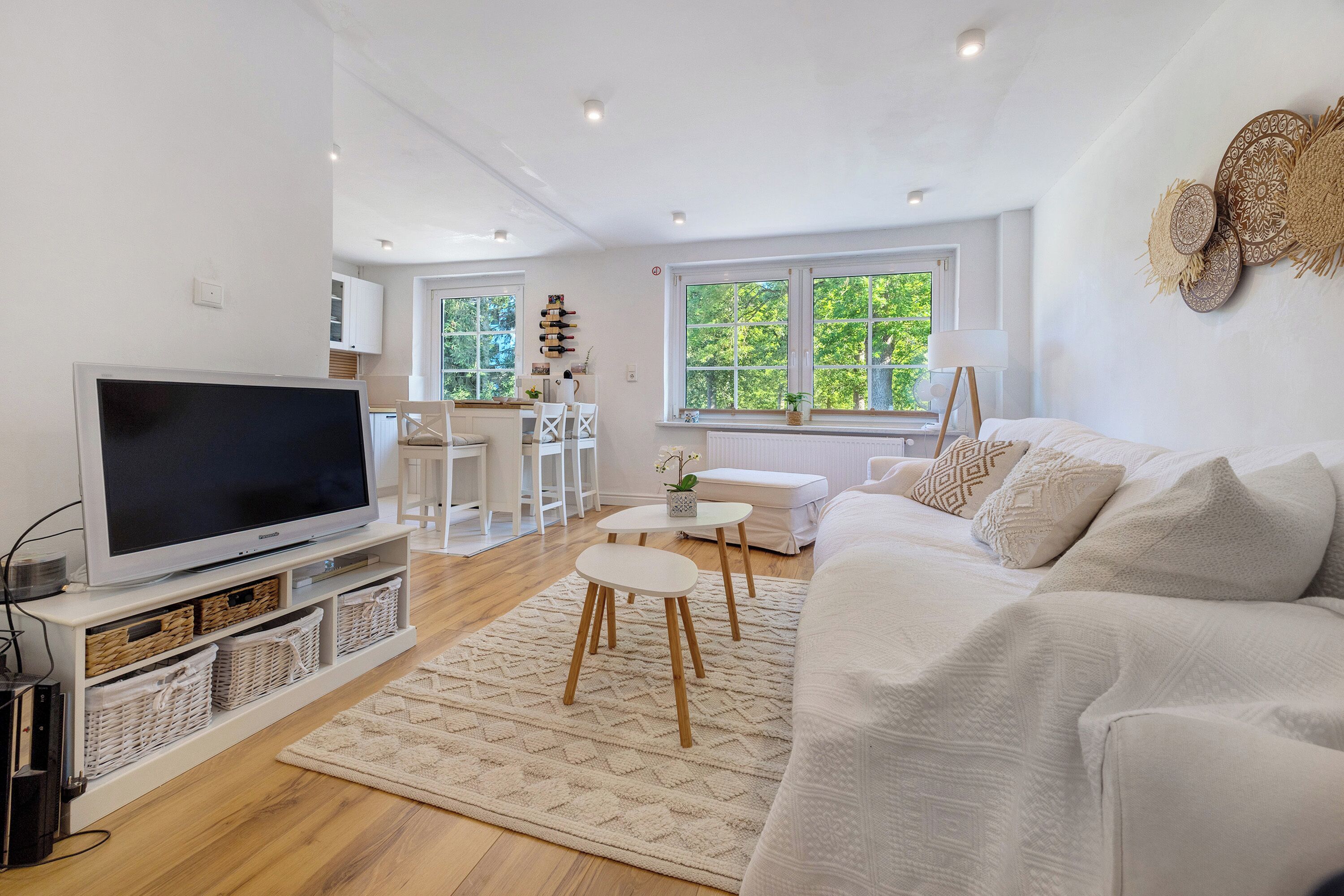 TV, peis, videospill og DVD-spiller