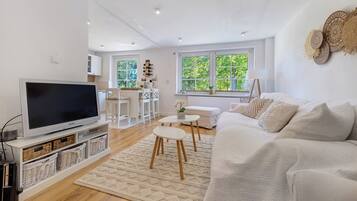 TV, fireplace, video games, DVD player