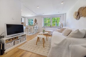 تلفزيون، مدفأة، ألعاب فيديو، مشغل دي في دي