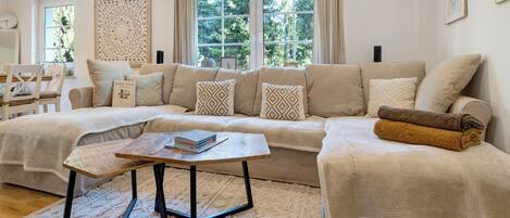 TV, fireplace, video games, DVD player