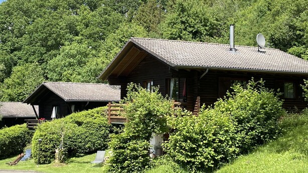 A wooden cabin with a tiled roof, surrounded by lush greenery and trees. - Lovely apartment for 2 people with WIFI, TV, patio and pets allowed (Bitburg)