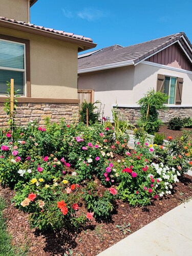 Cozy in law suite in Antelope with WiFi, AC, street parking, washer dryer 