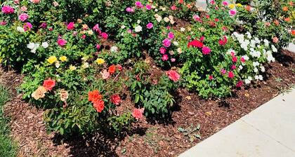 Cozy in law suite in Antelope with WiFi, AC, street parking, washer dryer
