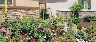 Cozy in law suite in Antelope with WiFi, AC, street parking, washer dryer