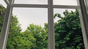 Une vue à travers une fenêtre à carreaux, encadrée de poutres blanches, donnant sur une forêt verdoyante et luxuriante.