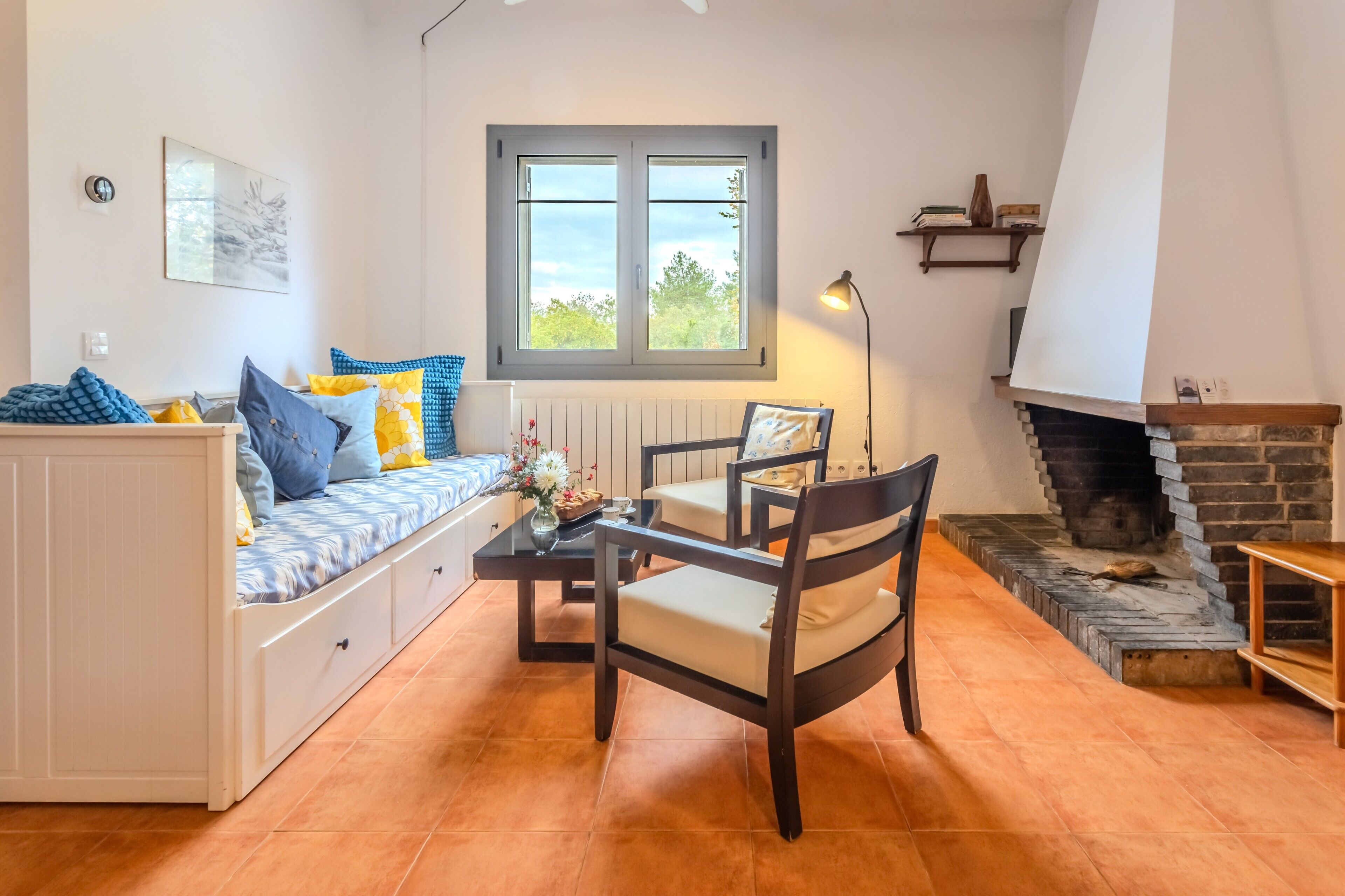 TV, fireplace, DVD player