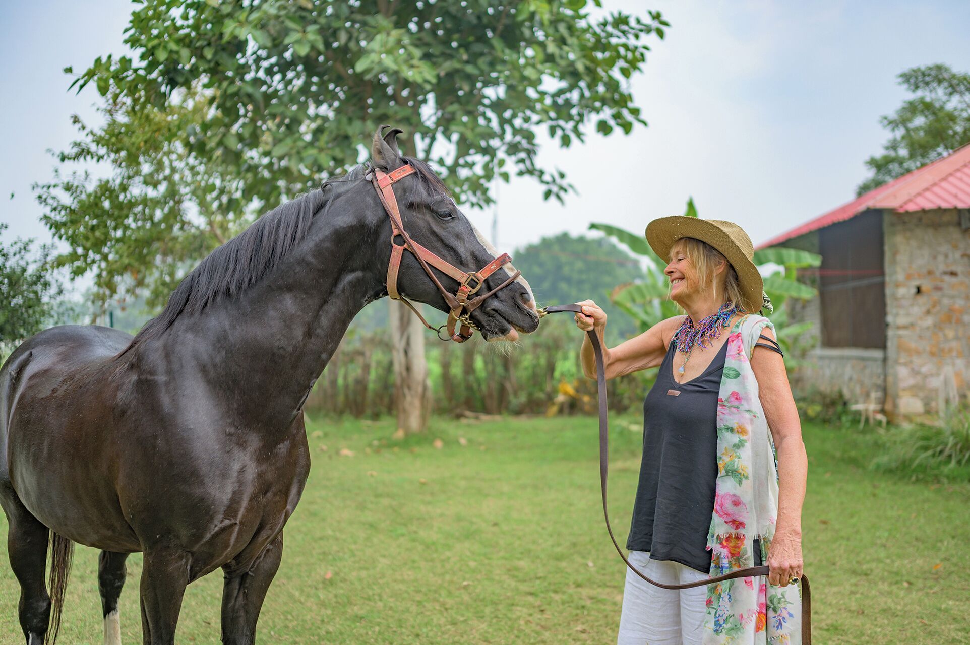Una persona guiando un caballo en un área cubierta de hierba, con árboles y un edificio al fondo.