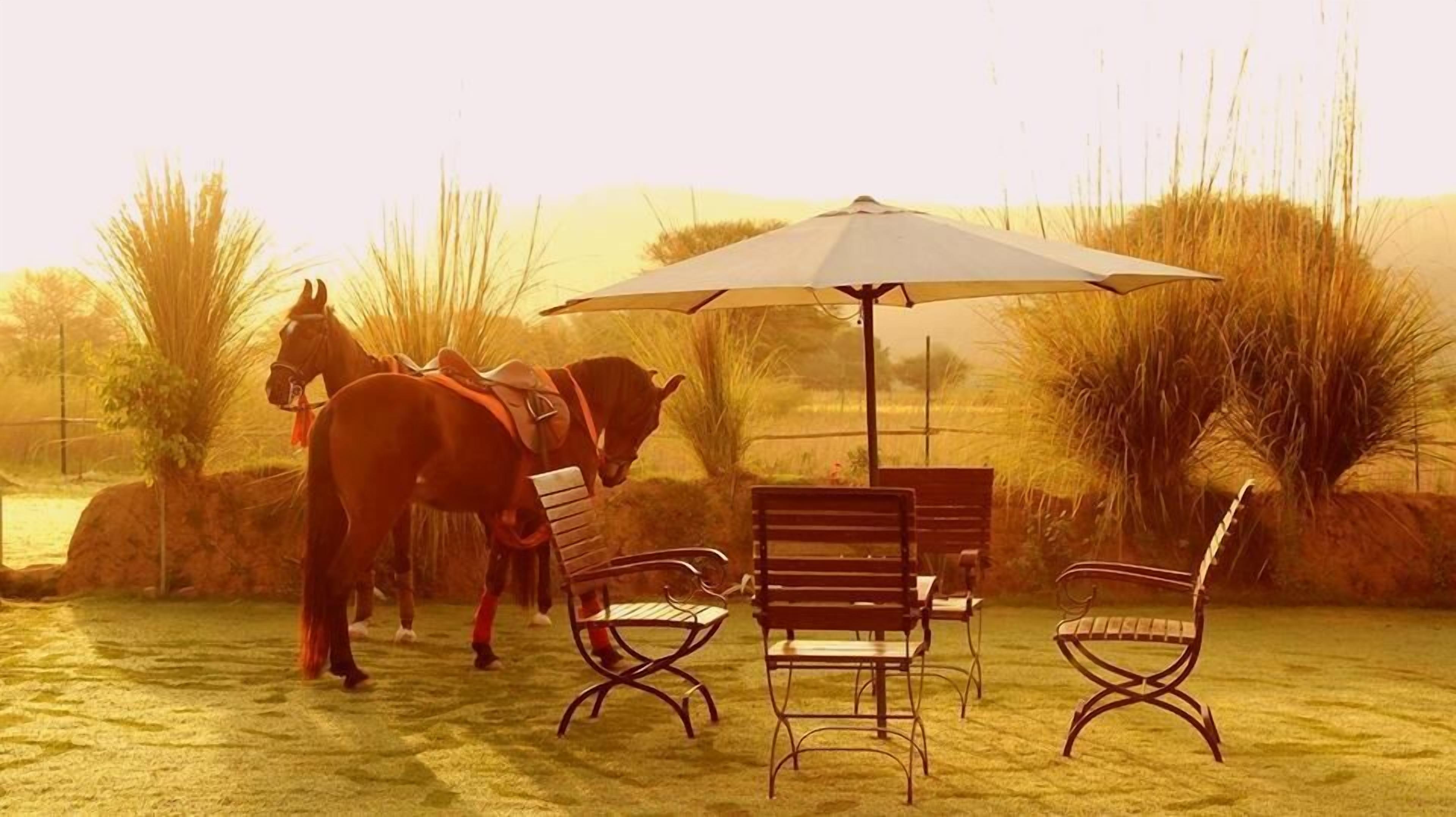 Un establo con dos caballos y una mesa con sillas bajo un paraguas.