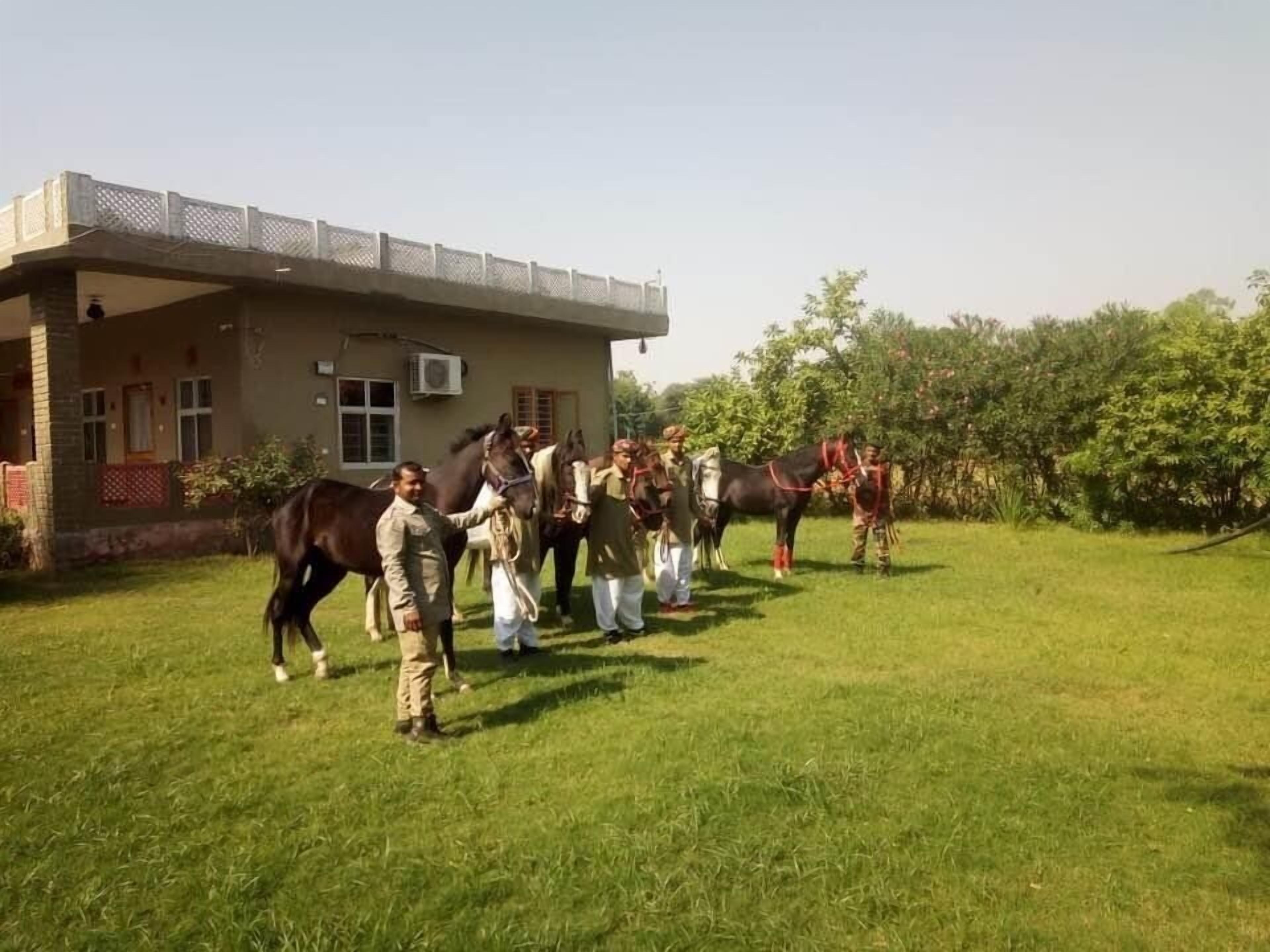 ركوب الخيل