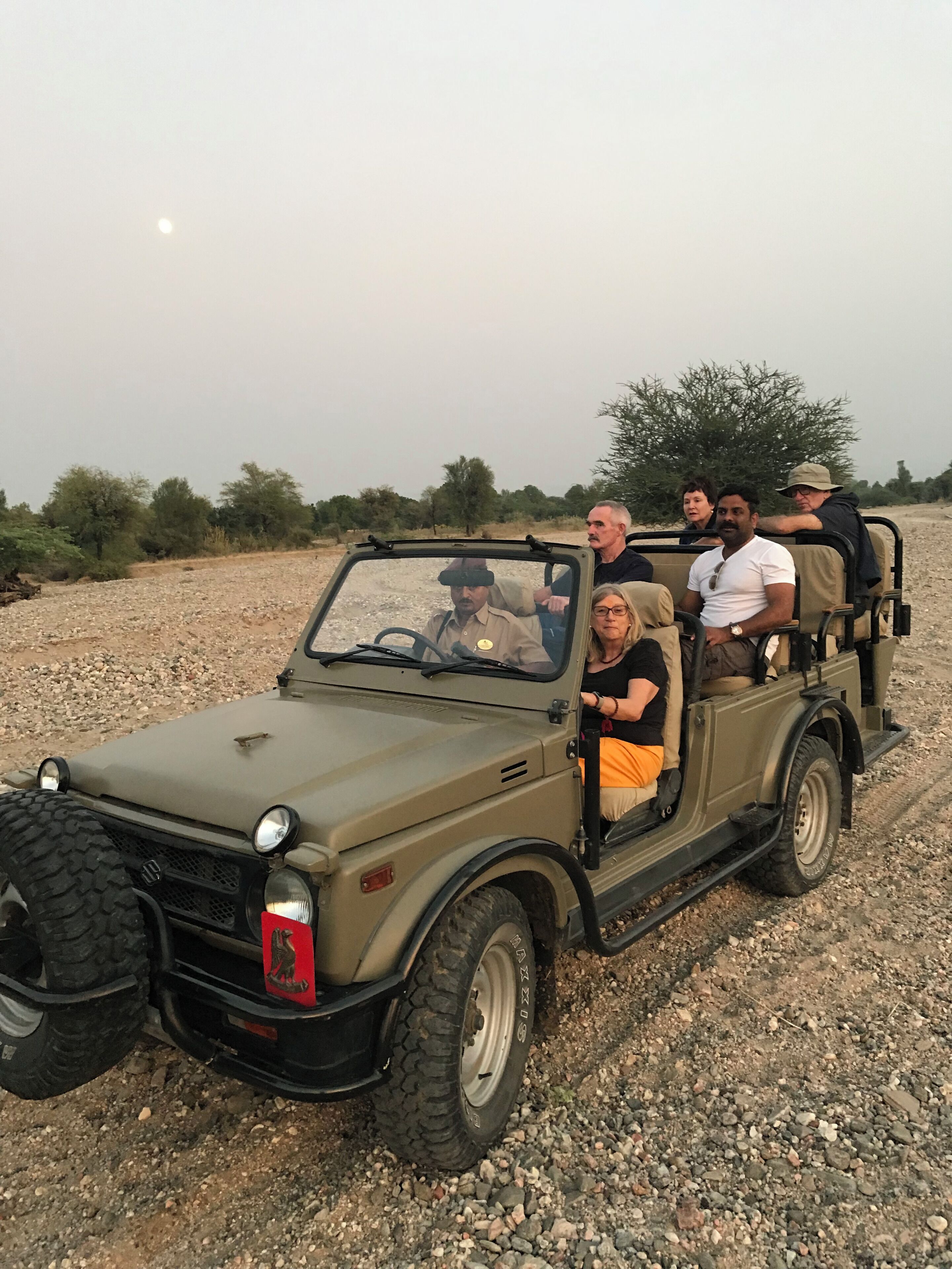 Safari