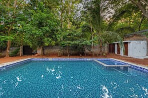Une piscine rectangulaire aux carreaux de mosaïque bleus, entourée d’une végétation luxuriante et d’arbres.