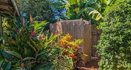 Tropical Treasure | Outdoor Kitchen & Shower