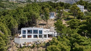 Front of property - Villa LiTo - Apt 2. balcony & seaview (Brela)