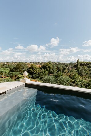 A swimming pool with clear water, surrounded by greenery and overlooking a residential area. - Au Petit Thouars (Thouars)