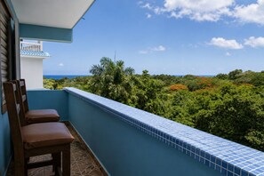 A balcony with a view of the ocean and dense foliage.