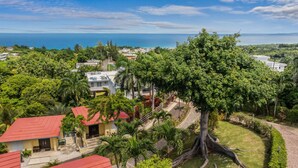 A residential area with a large tree in the foreground, houses with red roofs, and a view of the ocean in the background. - Casita 4 at Ceiba Tree Inn (Rincón)