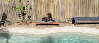 Serene 3-bedroom retreat, nestled in nature, a short walk from Yaroomba Beach