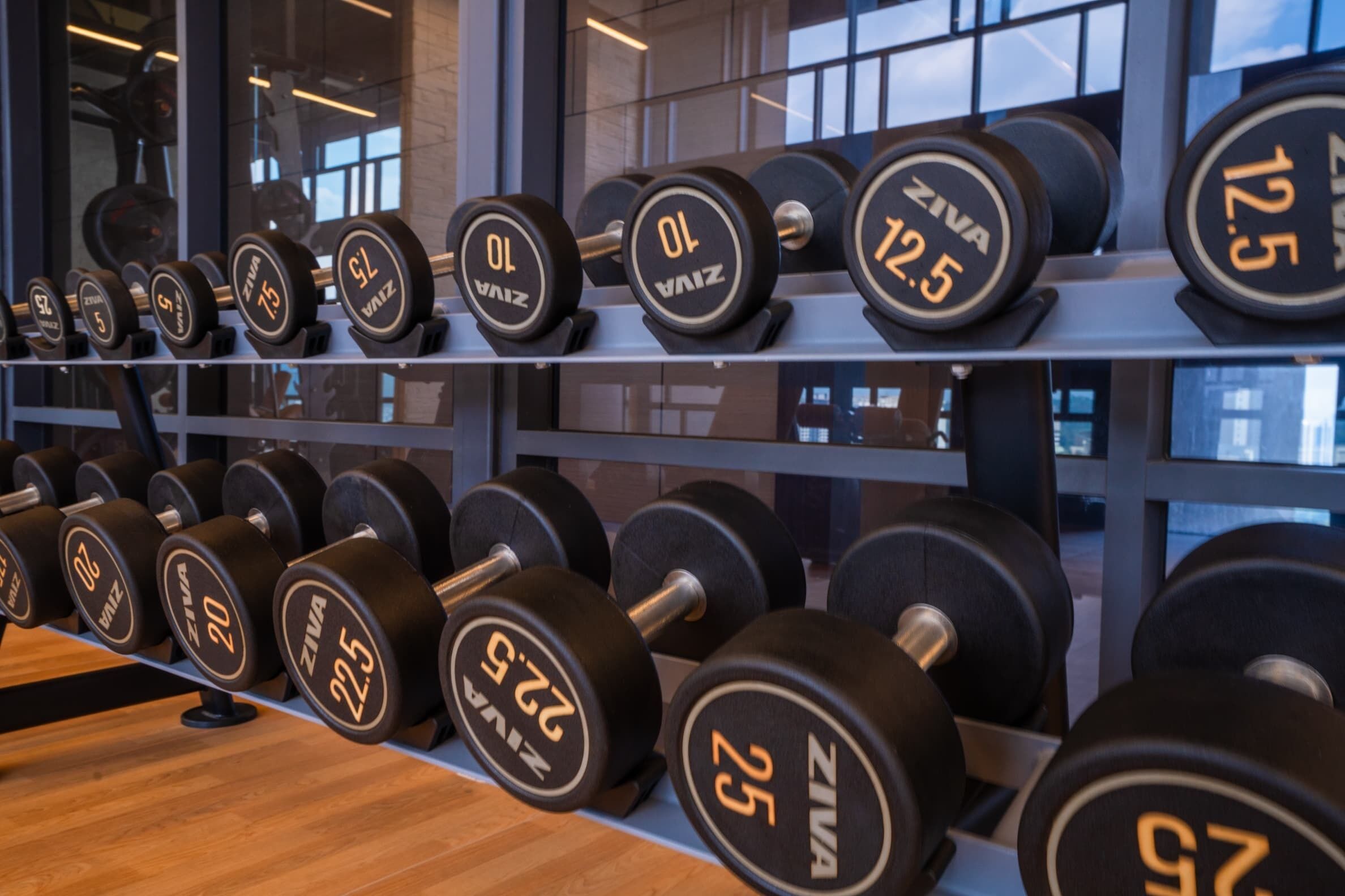Estante con mancuernas de la marca Zivah en un gimnasio con suelo de madera y ventanas grandes al fondo.