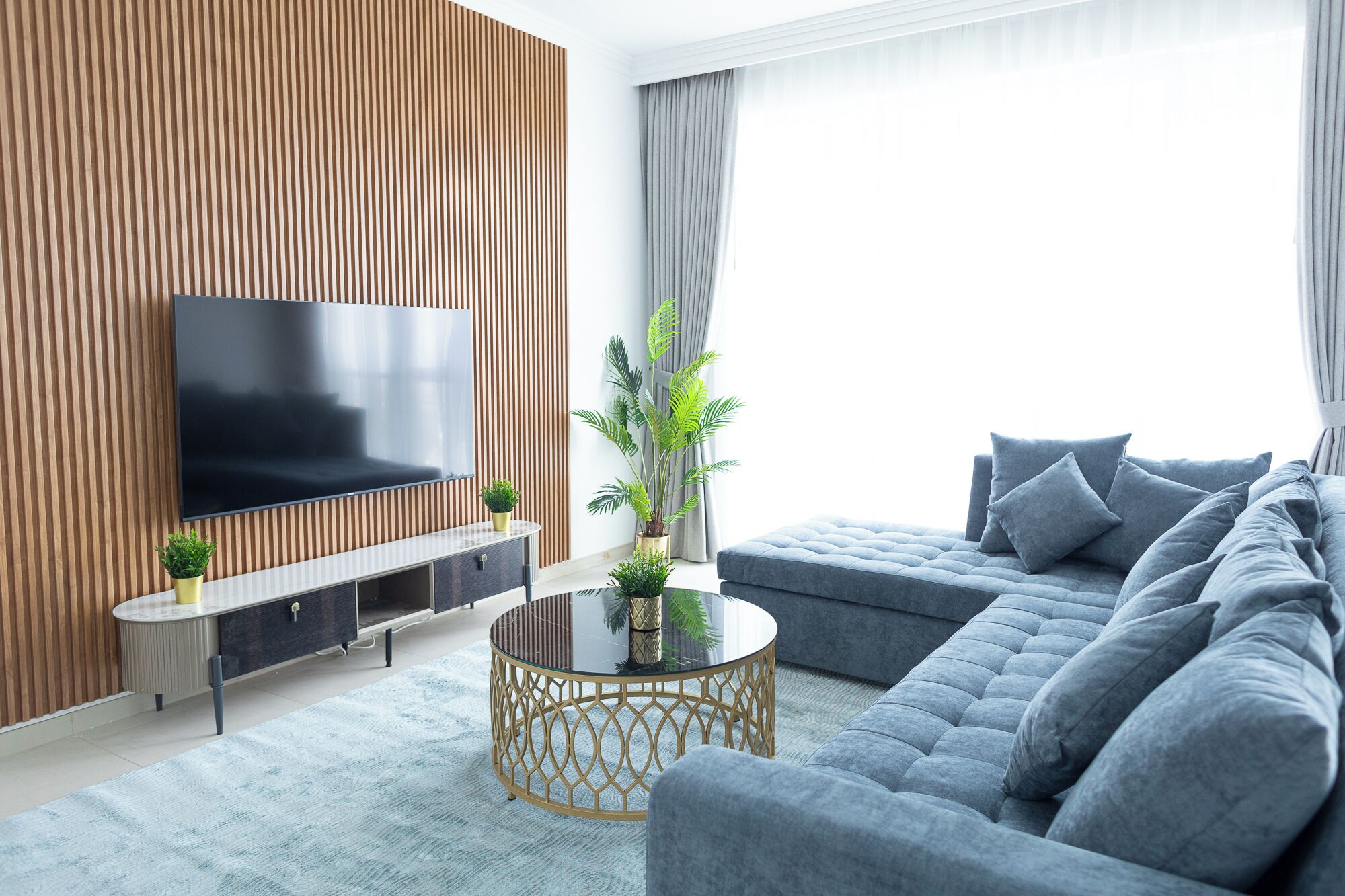 A modern living room with a flat-screen TV, a sofa, a coffee table, and a potted plant.