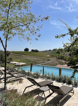 Seasonal outdoor pool, pool umbrellas, sun loungers