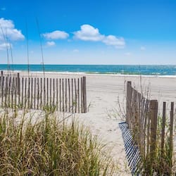 On the beach