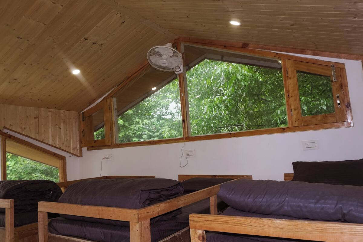 A room with wooden bunk beds, a ceiling fan, and large windows with a view of greenery.