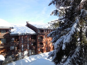 Exterior - Divisible studio for 4 with forest view in Les Coches (La Plagne-Tarentaise)