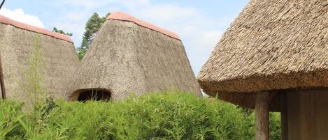 Cabañas de techo de paja con aberturas visibles, rodeadas de frondosa vegetación verde.