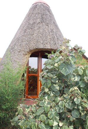 Cottage | Iron/ironing board, free WiFi - Highway 24 Lounge Masaka (Masaka)