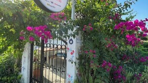 Schild für 'Dalaman Pansiyon' mit Kontaktinformationen und einer Webseite.