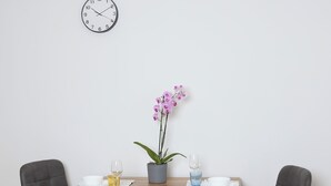 Een eettafel met twee stoelen, een potorkidee en een klok aan de muur.