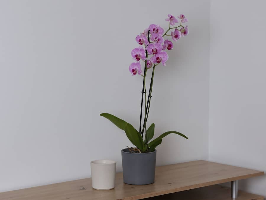 Standard Apartment | Ruang tamu