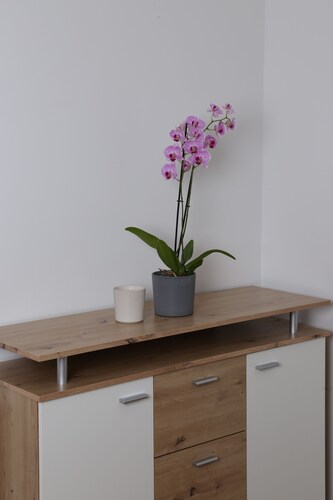 Urban Stay Apartments Vienna