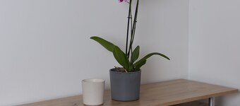 Urban Stay Apartments Vienna