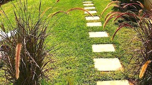 A well-maintained garden with a stone pathway leading through it, surrounded by various plants and palm trees. - Palais Harmonia (Marrakech)