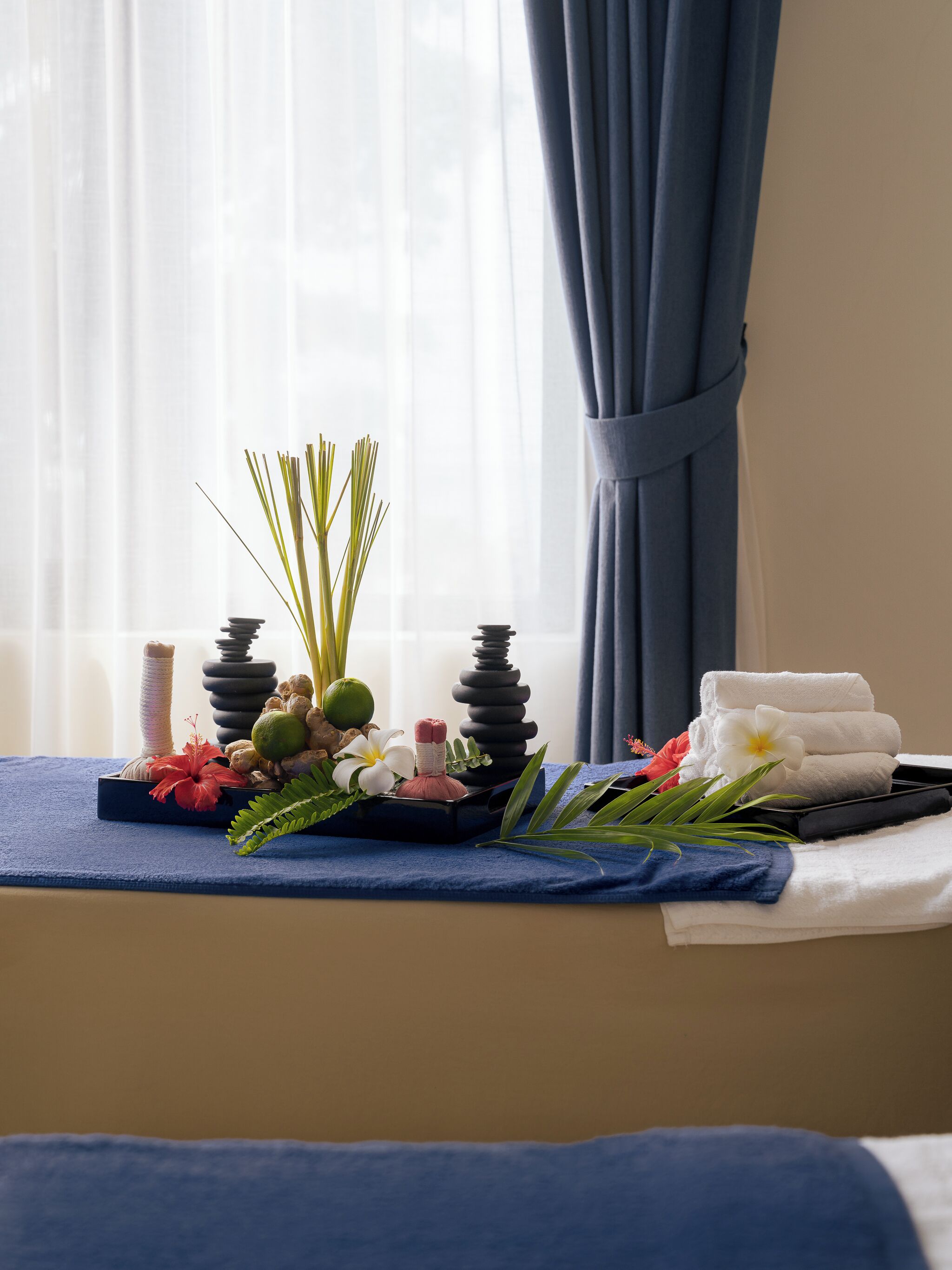 Sauna, steam room, hot stone massages, Swedish massages