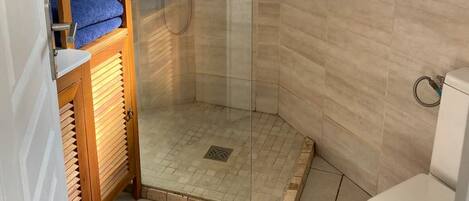 Shower, hair dryer, towels, soap