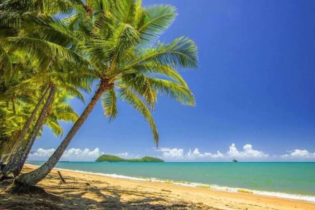 A beach with palm trees and a clear blue sky.