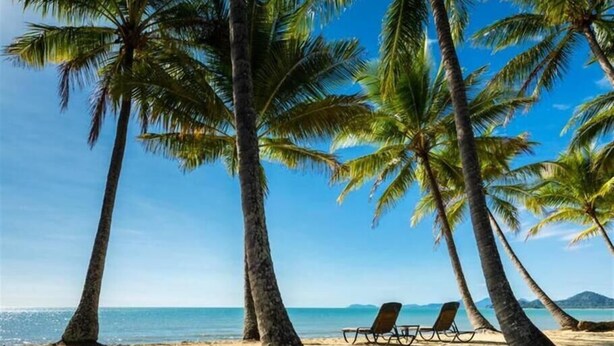 A beach with palm trees and lounge chairs. - Palm Cove Studio Apartments (Palm Cove)