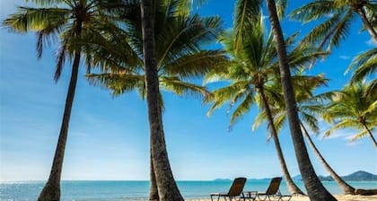 Palm Cove Studio Apartments