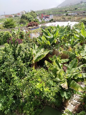 Miscellaneous - Enchanting 1-bedroom apartment in Garachico (Garachico)