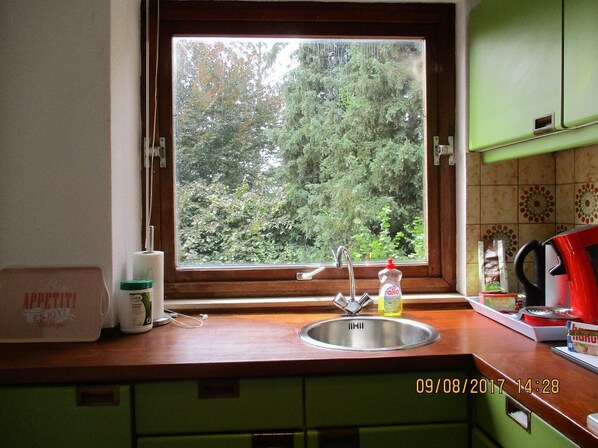 Horno y placa de cocina