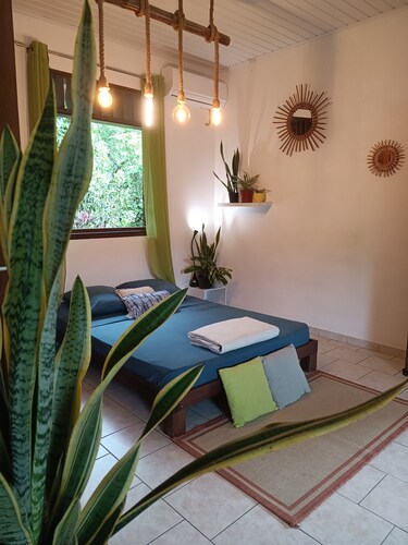 Studio with terrace and garden in the heart of an Amazonian plant nursery