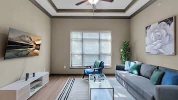 TV, offices, computer monitors