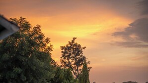 A swimming pool with a clear view of the sky, surrounded by potted plants and a wooden fence. - The Stay Ranakpur (Desuri)