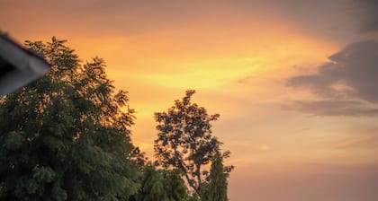 The Stay Ranakpur